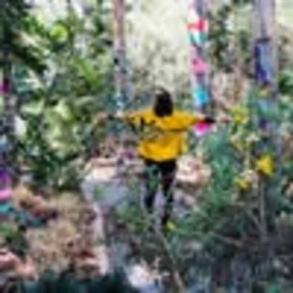 Meet your Posher, Jamila - Picture 1 of 1